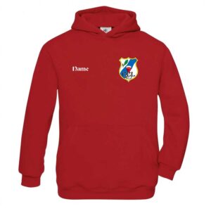 CCL Hooded Sweat Kids